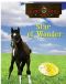 [Lucky Foot Stable 02] • Star of Wonder